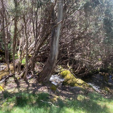 Ramshead Creek 3 - Thredbo Appartement Buitenkant foto